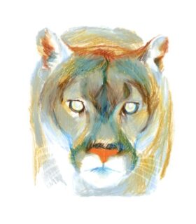 Bunter Puma en face gemalt