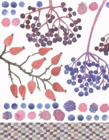 Buchcover von: "Moosgrün und Himbeerrot – ein Waldkochbuch"