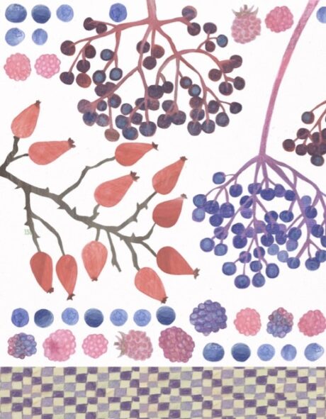 Buchcover von: "Moosgrün und Himbeerrot – ein Waldkochbuch"