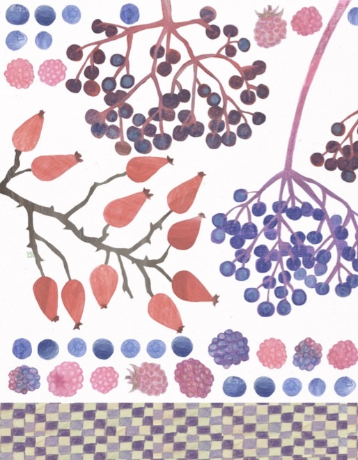 Buchcover von: "Moosgrün und Himbeerrot – ein Waldkochbuch"